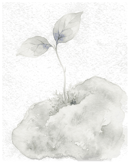 Subtle Japanese watercolor sapling sprout on stone